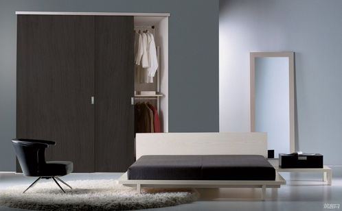 wardrobe,wardrobes by Chen