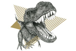 dinosaur,dinosaurs怎么读的