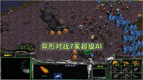 星际争霸下载电脑版,星际争霸下载电脑版116版